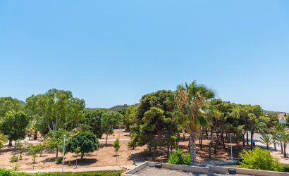 Obra nueva - detached -
Playa Paraiso